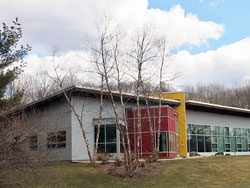 Woods Lightning gallery