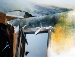 Woods Lightning gallery