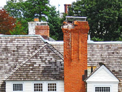 Woods Lightning gallery